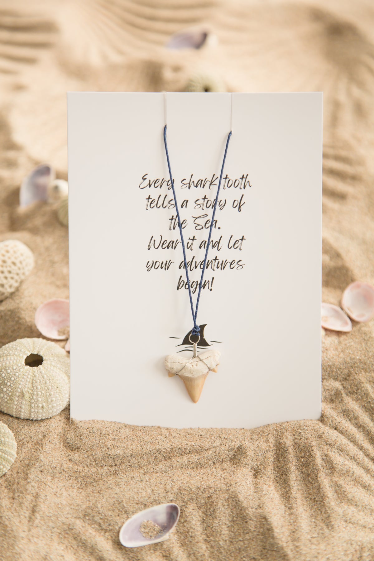 Ketting Haaientand