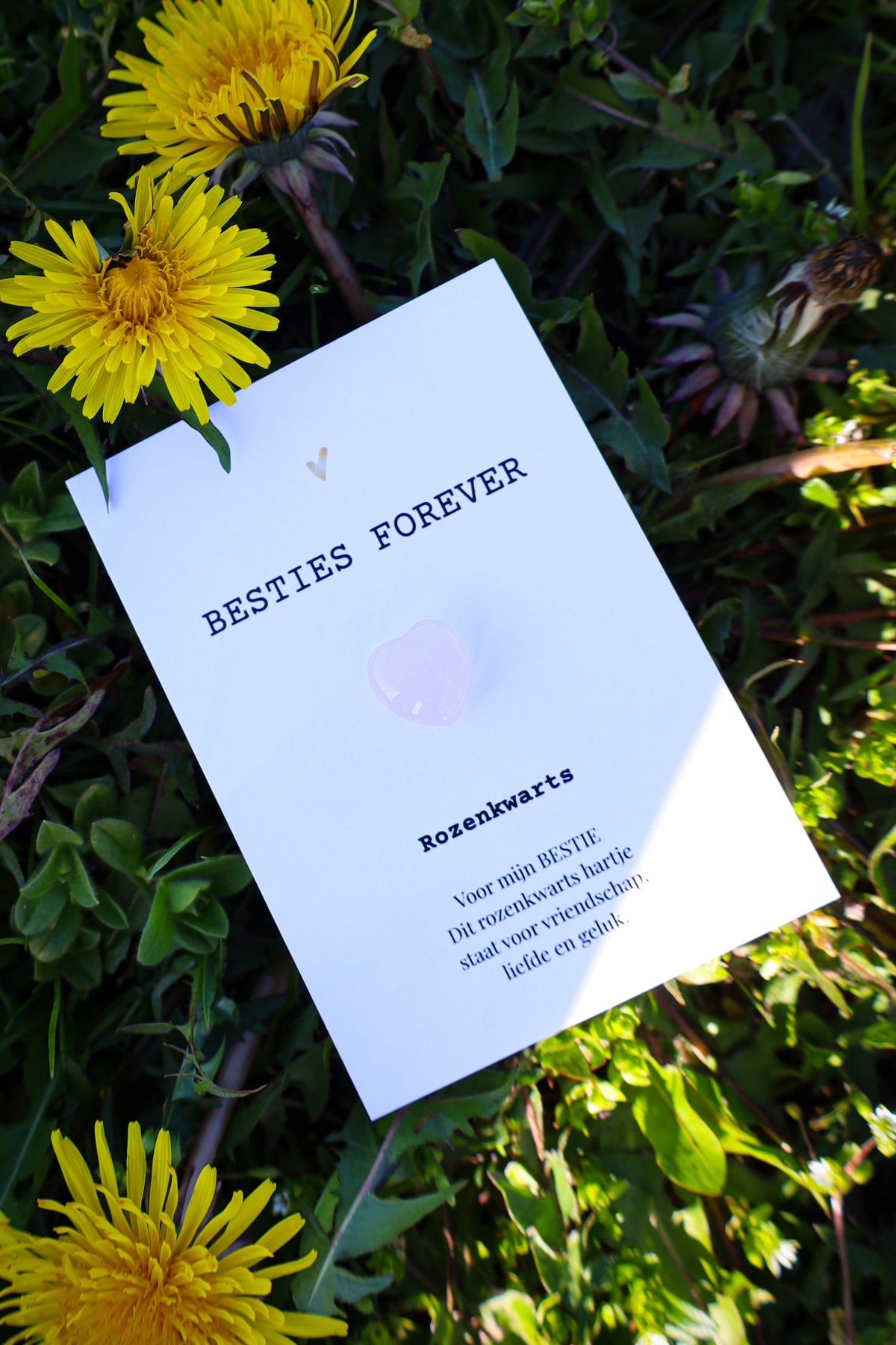 Bestie gift