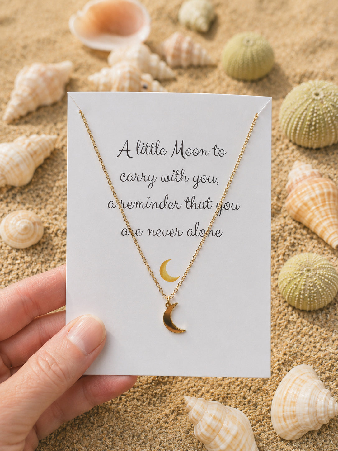 Minimalistische Maan Ketting RVS – Cadeau met Betekenis | La Luz